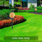 LED Solar Lamp Pineapple Waterproof Garden Outdoor Light Sensor Control Lamp