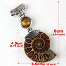 Fossil Stone Pendant Tiger Eye Stone Beads Cabochon Conch Shell Stone Pendant
