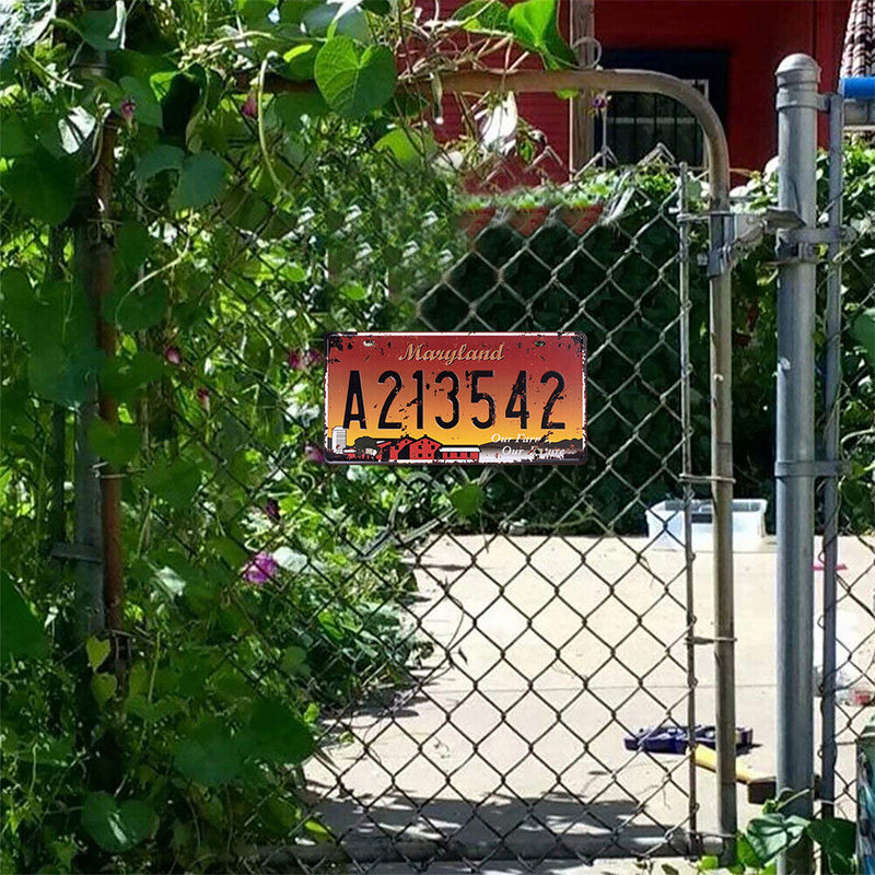 License Plate A213542 Retro Metal Tin Sign Plaque Poster Wall Art Decor (1)