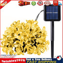 50LED 9.5m Solar Cherry Blossom String Light Decorative Lamp (Warm White) Newly