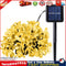 50LED 9.5m Solar Cherry Blossom String Light Decorative Lamp (Warm White) Newly