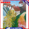 Oil Paint by Numbers Country Path Canvas Artwork Living Room Picture Decoration