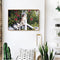 Frameless Oil Painting Picture By Number Cats On the Railing Hand Painted Craft
