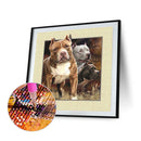 #A Animal Series DIY Diamond Painting Kits Full Round Drill Home Wall Art Deco