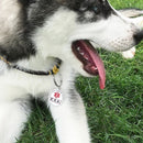 Pet Necklace Collar Tag Animal ESA Emotional Support Medical Assistance Keychain