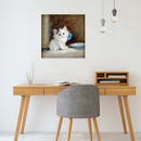 Hand Painted on Canvas DIY Cute White Cat Oil Paint By Numbers Drawing Kit Craft