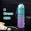900ml Frosted Water Bottle Outdoor Sport Travel Gym Drinking Kettle (Green)