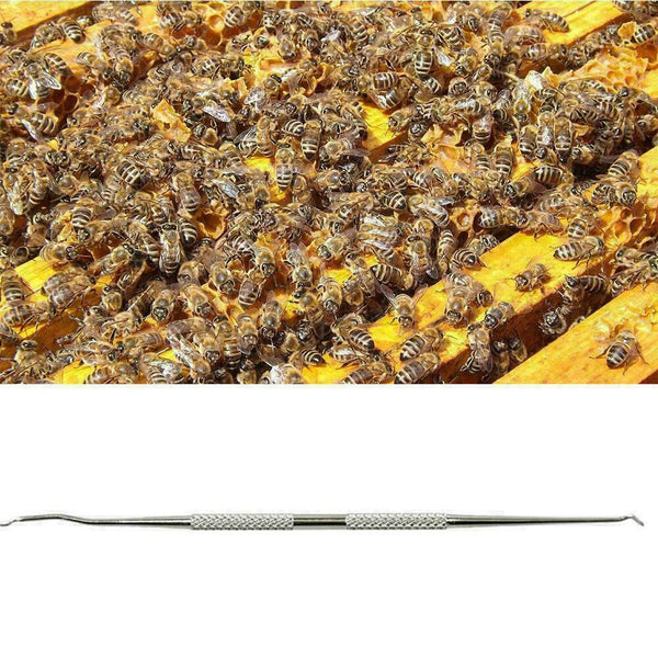 Beekeeping Dual Head Bee Needle Rearing Bee L Tool A0O4 Grafting L5J7 D1D1