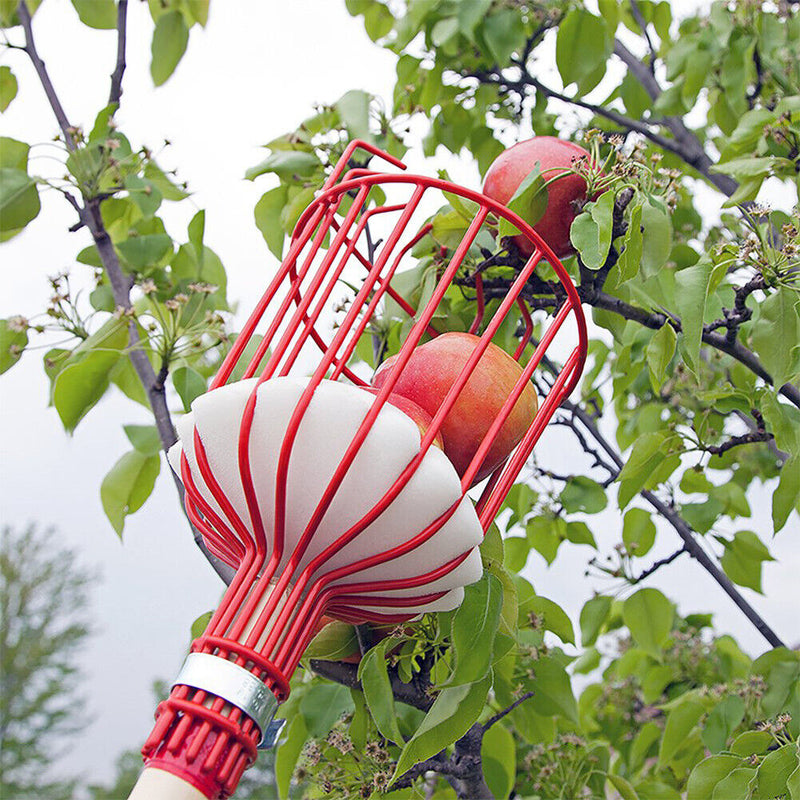 Garden Tools Metal Apples Pears Peaches Oranges Gardening Fruits Catcher Pi