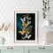 Color Butterfly DIY Canvas Paint By Numbers Oil Hand Painted Kit (YHRM-194)