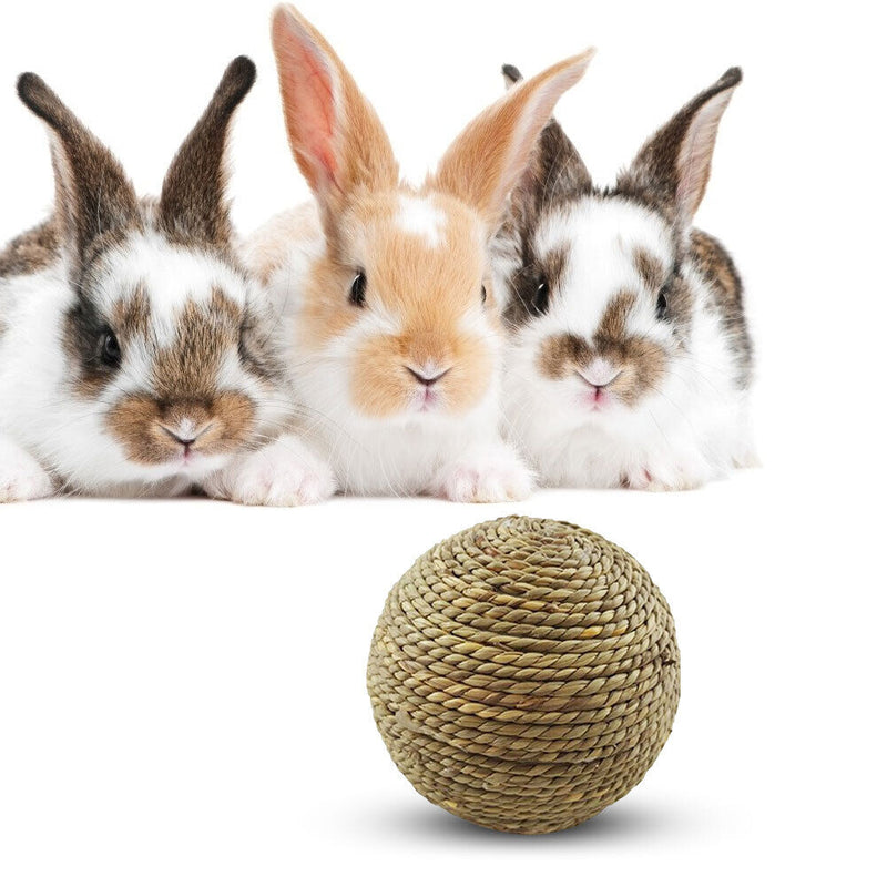 Small Animal Chew Grass Ball Pet Hamster Molar Tooth Clean Balls (Straw) Newly