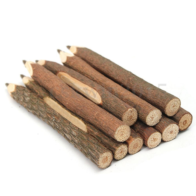 Stationery School Supplies Writing Tool Wooden Pencil Graphite Branch and Twig