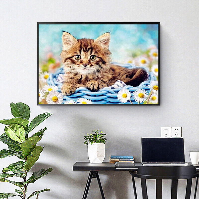 DIY Abstract Acrylic Picture Gift Cat in Basketball Digital Oil Hand Painting Kit