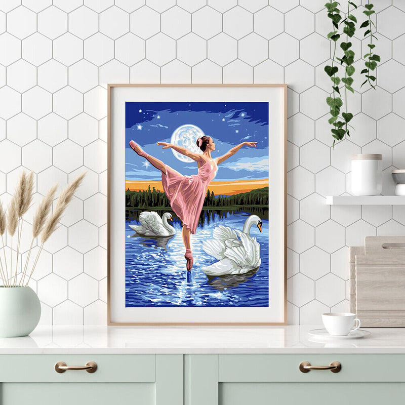 Dancers On Swan Lake 40x50cm Oil Paint By Numbers DIY Painting SXD202106041