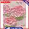 DIY Digital Picture Pink Flowers Frameless Oil Painting By Number Handicraft