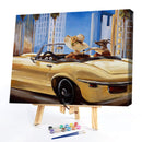 Hand Painted Drawing DIY Art Canvas Oil Kit Paint By Numbers Girl Driving Decor