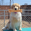 8"" Compressed Rawhides Dog Bones Snack Food Treats Toys for Puppy Teething C