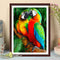 Oil Paint By Numbers Animal Parrot DIY Painting Kit Wall House Art Drawing