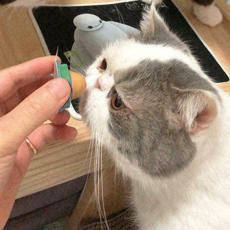 Cat Catnip Candy Energy Ball Snacks Licking Healthy Hot Kitten Sale Q9H3