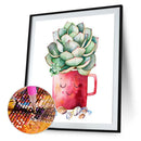 DIY Diamond Painting Kits Full Round Drill Succulent in Cup Crafts Home Decor