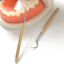 Metal Toothpick Waterproof Camping Oral Teeth Cleaning Tool w/Storage Container