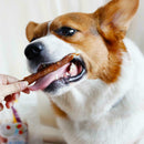 Chicken Wrapped Jerky Beef Twists snacks chews treats HOT delicious H0U2