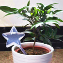 Transparent Bird Travel Flower Waterer Bulb Car Drip Irrigation Device (B)