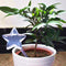 Transparent Bird Travel Flower Waterer Bulb Car Drip Irrigation Device (B)
