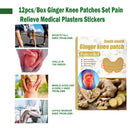 12pcs Herbal Warm Ginger Knee Patches Set Joint Bruises Treat Medical Plasters