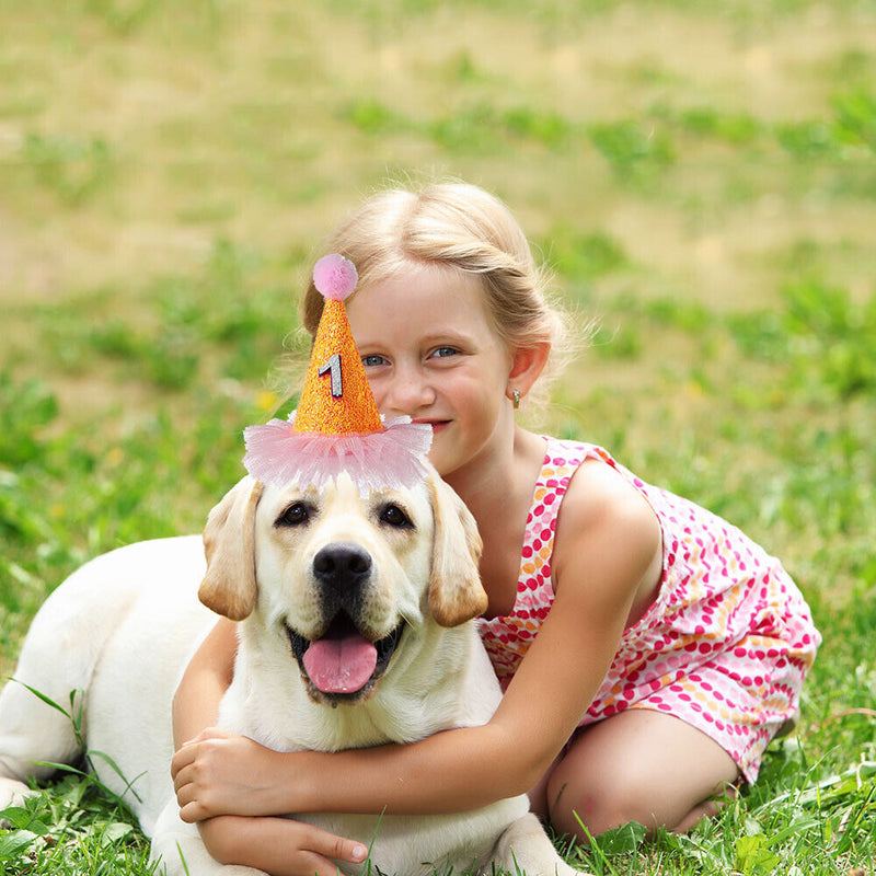 Pet Dog Birthday Hat w/ Number Cat Headwear Party Supplies Costume (Orange)