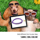 Colorful Cat Necklace Necklace with Bell Adjustable Buckle Dog Accessories Supply