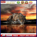 Leopard Oil Paint By Numbers DIY Picture Hand Painted Wall Art Craft Home D