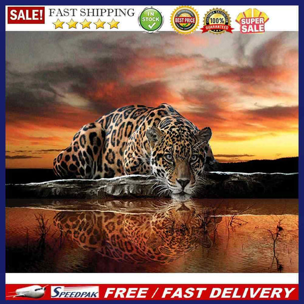 Leopard Oil Paint By Numbers DIY Picture Hand Painted Wall Art Craft Home D