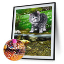5D DIY Diamond Painting Full Round Drill Playing Cat Wall Decor Rhinestone Ar