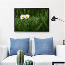 Painting By Numbers Oil Picture Artwork DIY Hand Painted Canvas Meadow Daisy Kit