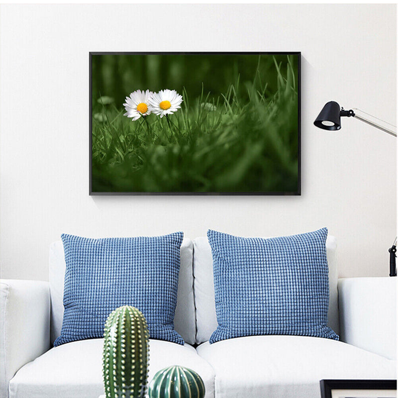 Painting By Numbers Oil Picture Artwork DIY Hand Painted Canvas Meadow Daisy Kit