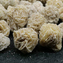 1/4 lb Bulk Desert Rose Selenite Stones Crystal Healing 4 Bud Stone) oz X5O1
