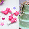 5pcs Button Round Pentagram Mold Fondant Piston Cutter Fondant Cake Decorator
