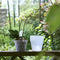 5pcs Orchid Planting Pots Transparent Seedling Garden Flower Pot (no Base) Newly