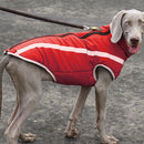 Pet Winter Jacket Vest with Zipper 3 Size Labrador Bulldog Household Pet Ou