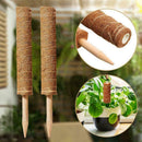 40cm Coir Moss Pole - Bamboo Root Support Climbing Monstera H O Plant Moss X7Z5