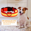 Dog Cat Luminous Necklace Large Medium Small Dogs Anti Lost Harness Accessori