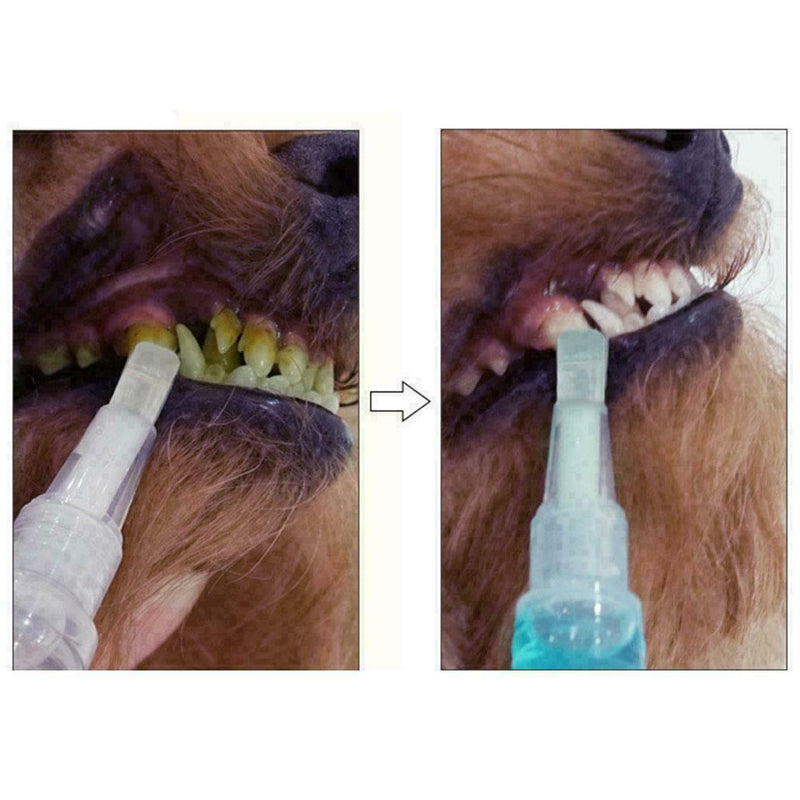 Pet Teeth Cleaning Repair Tubes Kit Dog Tartar Dental Cleaning