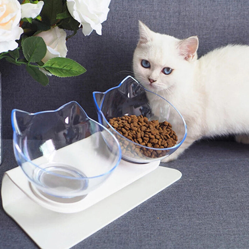 Double Cat Bowls, Raised Pet Tilted Stand Food Water Feeder Bowls for Kitten Cat