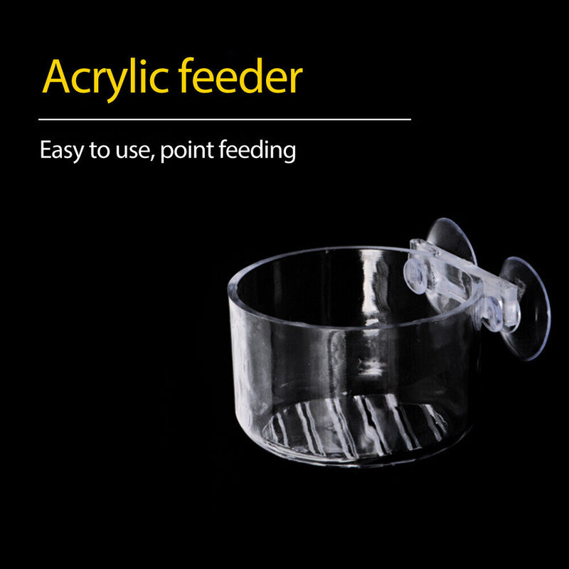 Aquarium Transparent Acrylic Red Worm Cup Hang Feeding Food Container (B) Newly