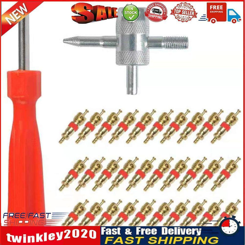 30pcs Brass Valve Cores with Car Bike Tire Valve Core Remover + 4 Way Tool Newly