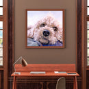 Diamond painting square diamond DIY animal puppy picture ZQF2505