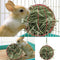 Stainless Steel Plating Pet Hay Manger Food Ball Rabbit Grass Rack (Red)