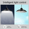 LED Solar Lamp Remote Ceiling Light Outdoor Garden Hanging Decor (A) Newly