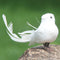 2pcs White Feather Artificial Foam Doves Lover Peace Doves Bird Home Decor